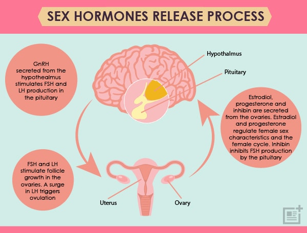 Sex-hormones