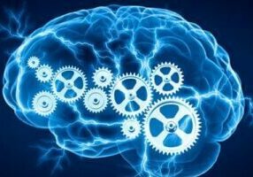 Phosphatidylcholine-improves-memory